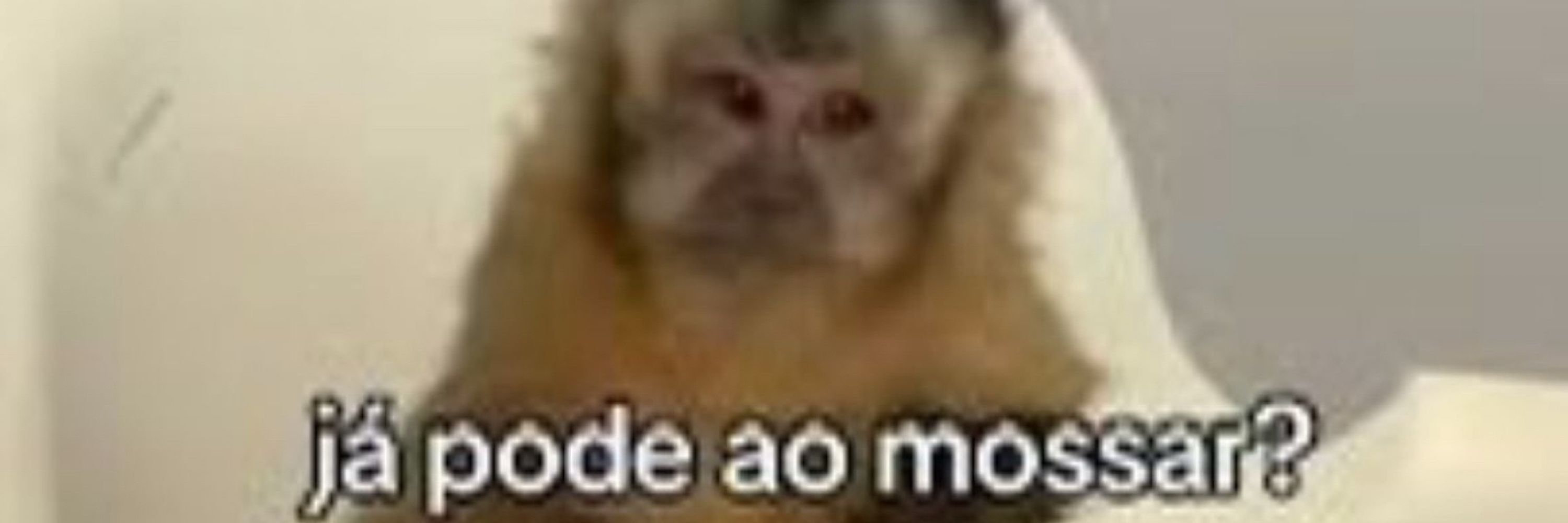 Leonardo