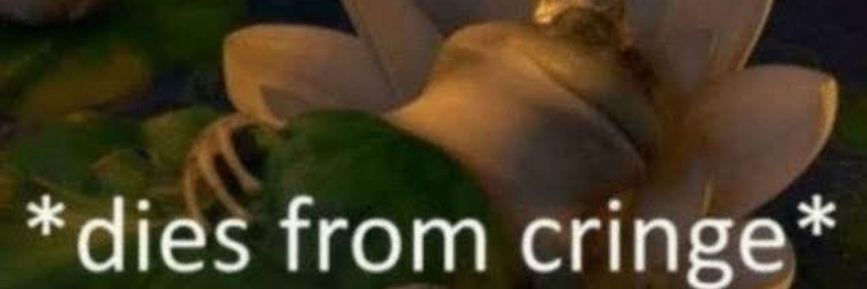 Dr. Sleep