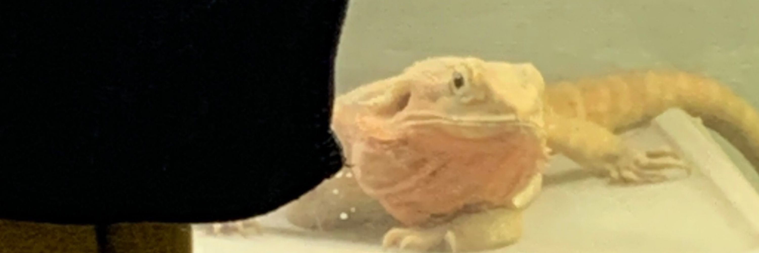 お