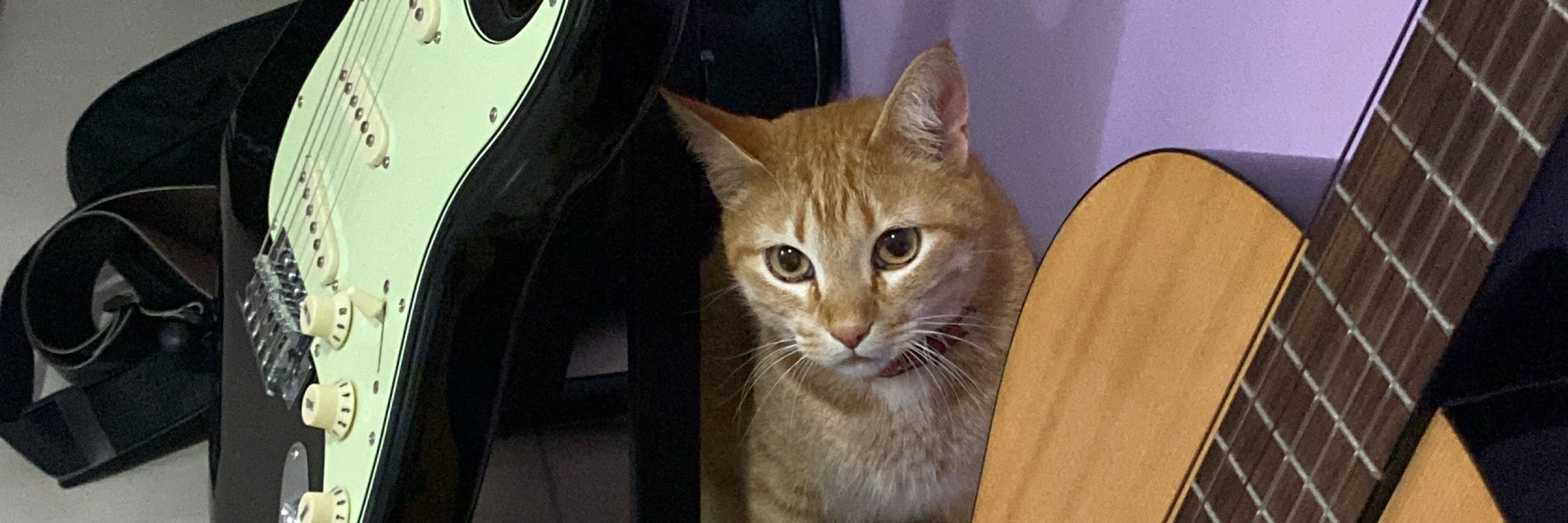 isa