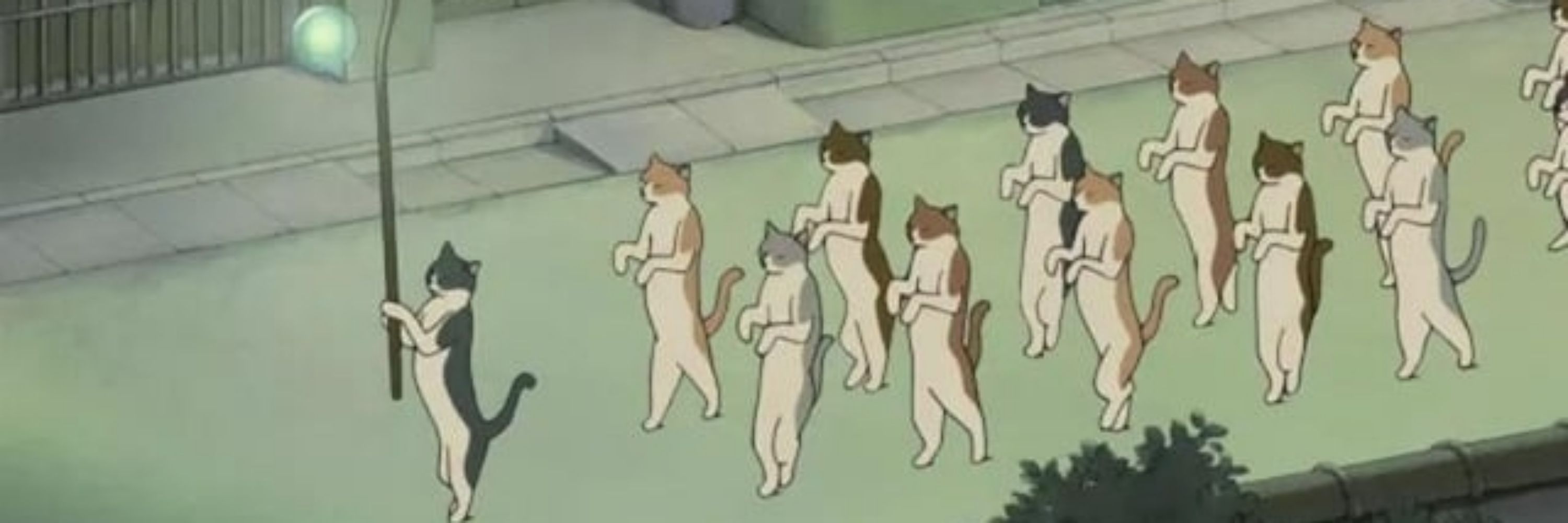 the horrors persist