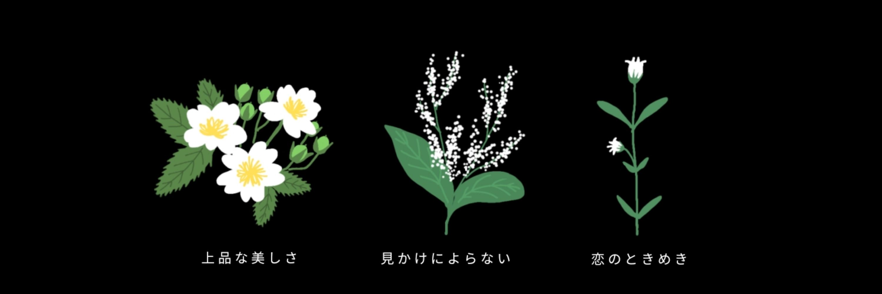 もなか