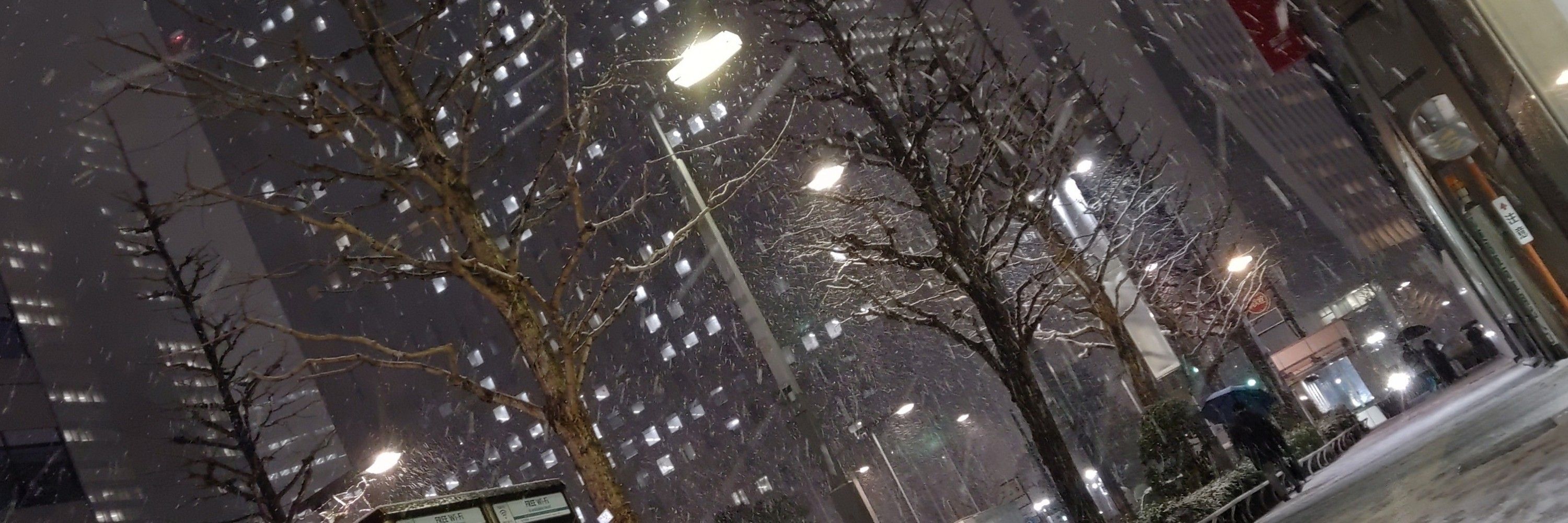 ヨウカン