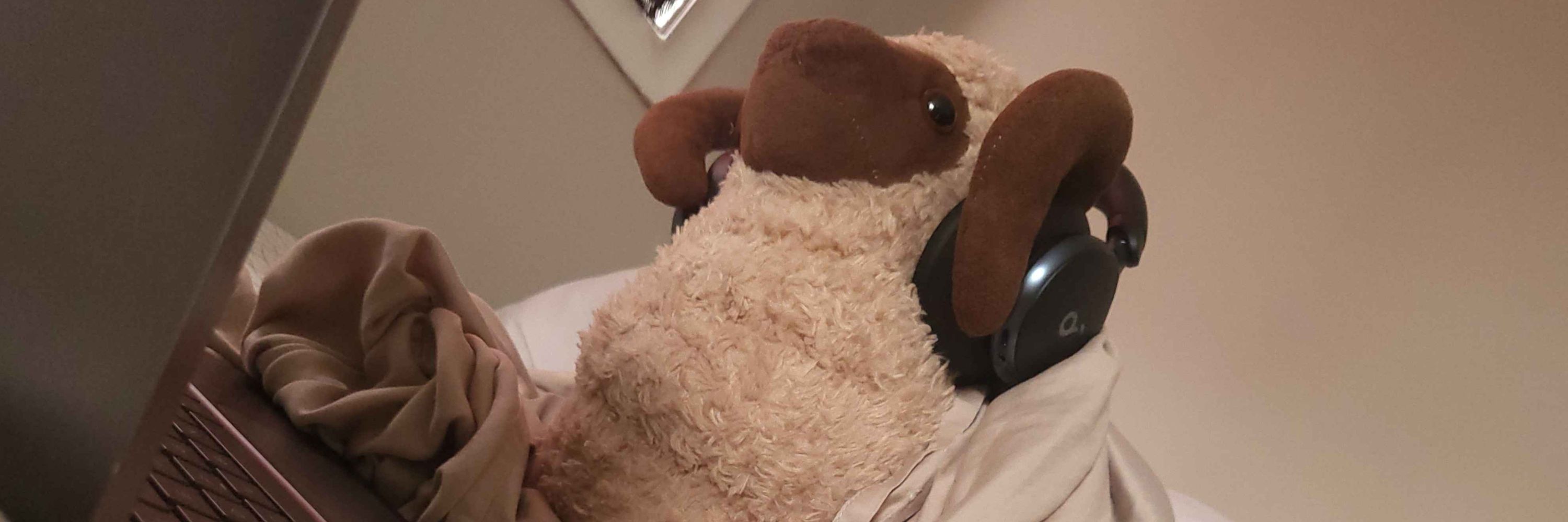 sheep hotline