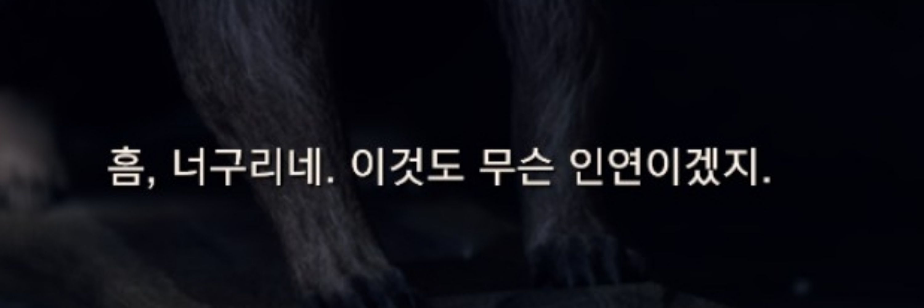 먼지