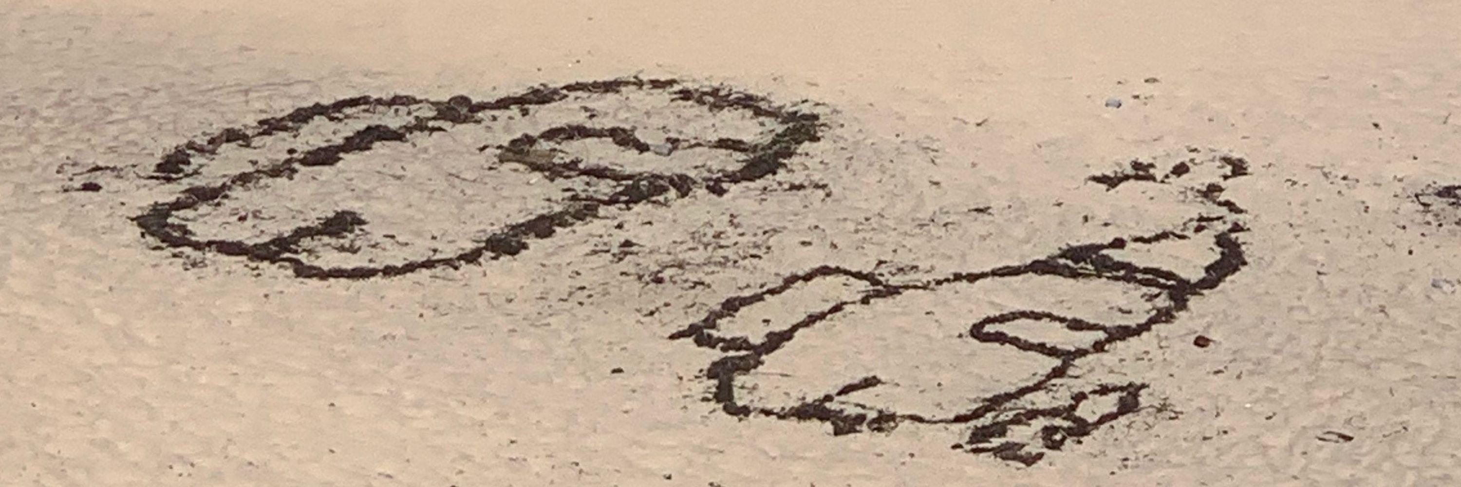 ✨BothePirateCrow🏴‍☠️