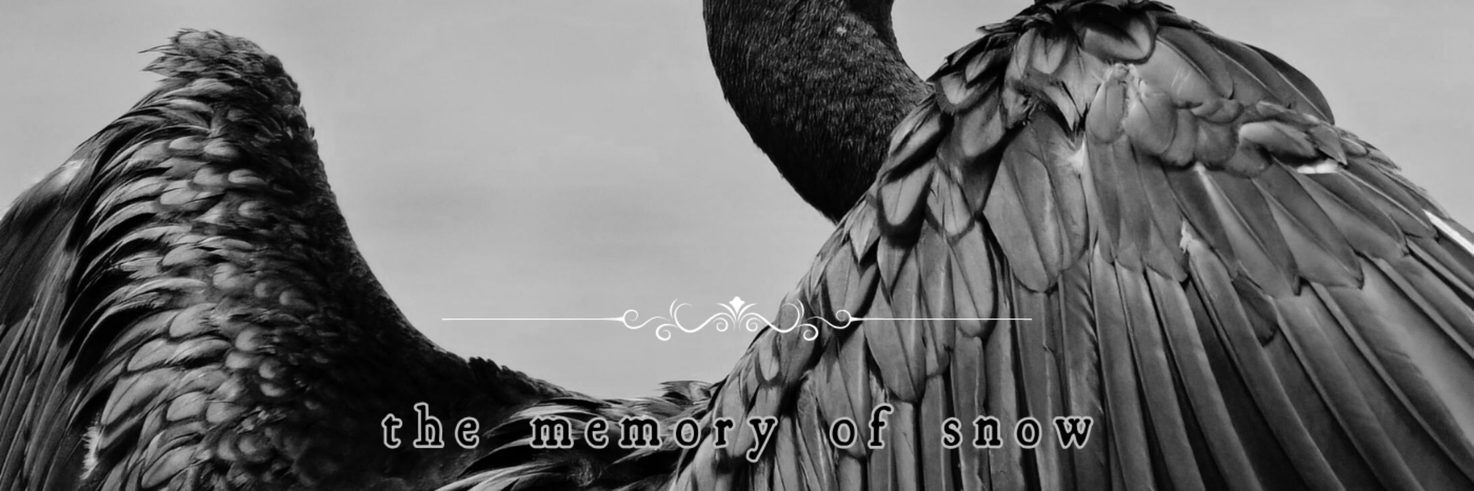 The Memory Of Snow
