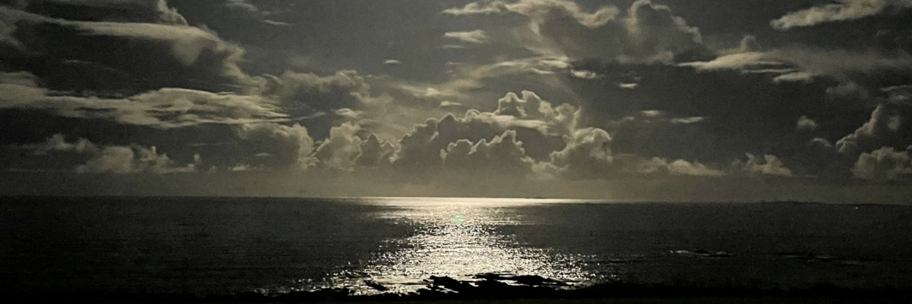 Chris O'Connell