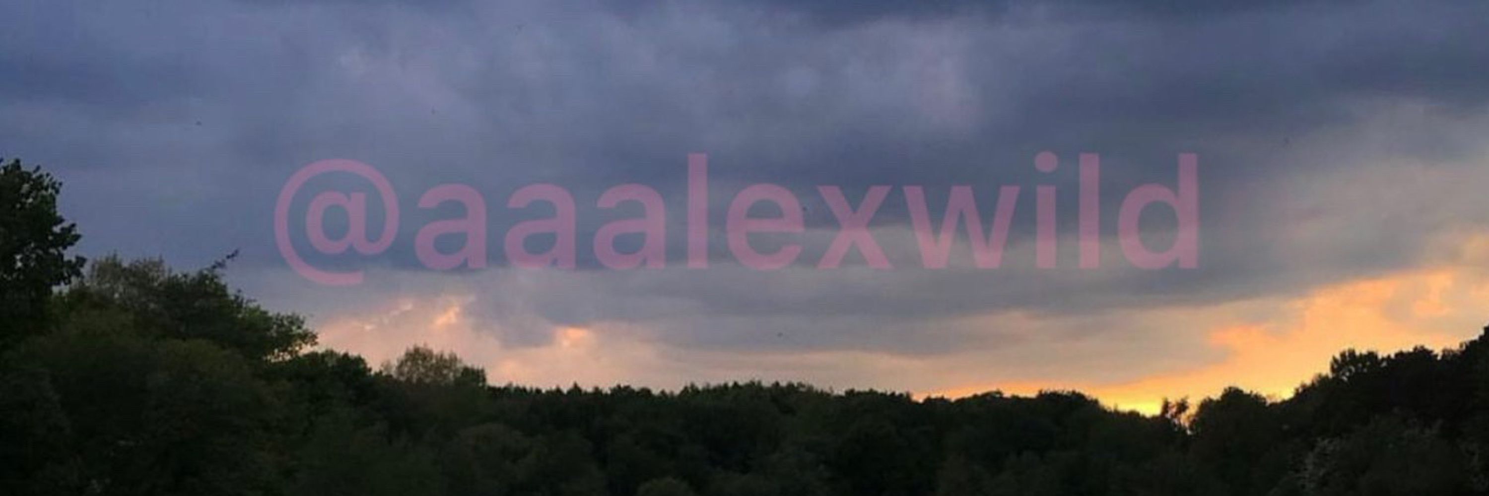 Alex wild🏳️‍⚧️🌶️✨❤️