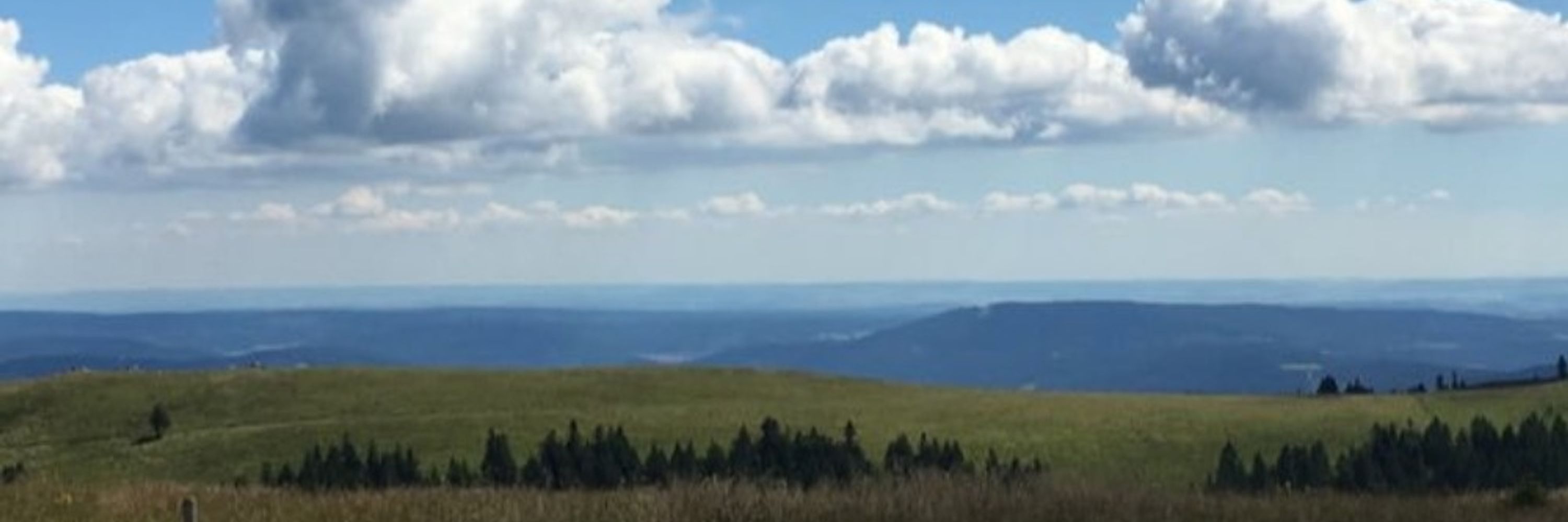 Inschenör