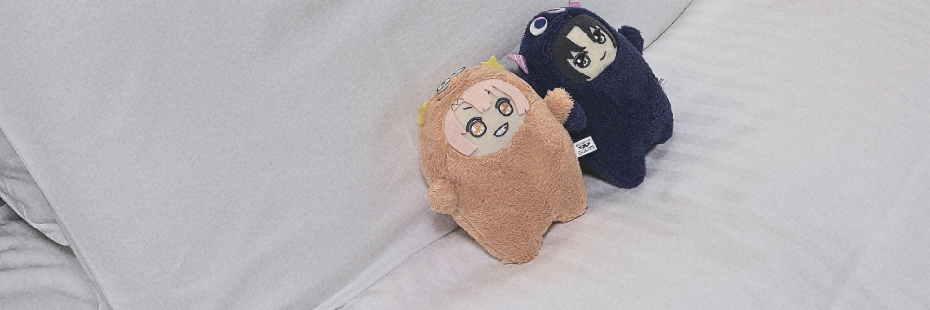きのし