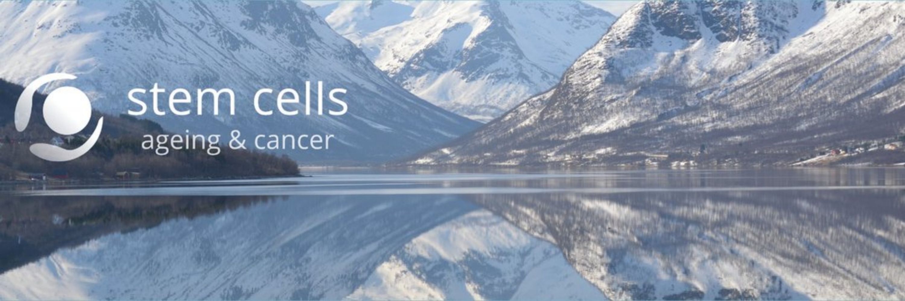 Stem Cells, Ageing and Cancer