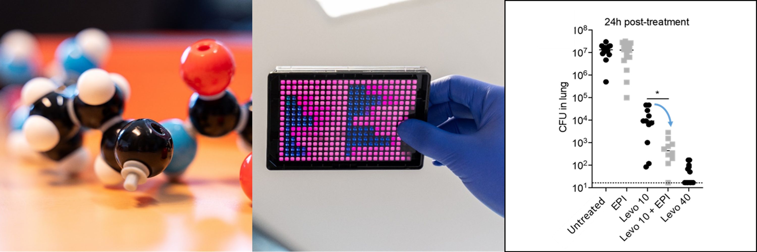 Hartkoorn Lab at the Institut Pasteur of Lille (France)