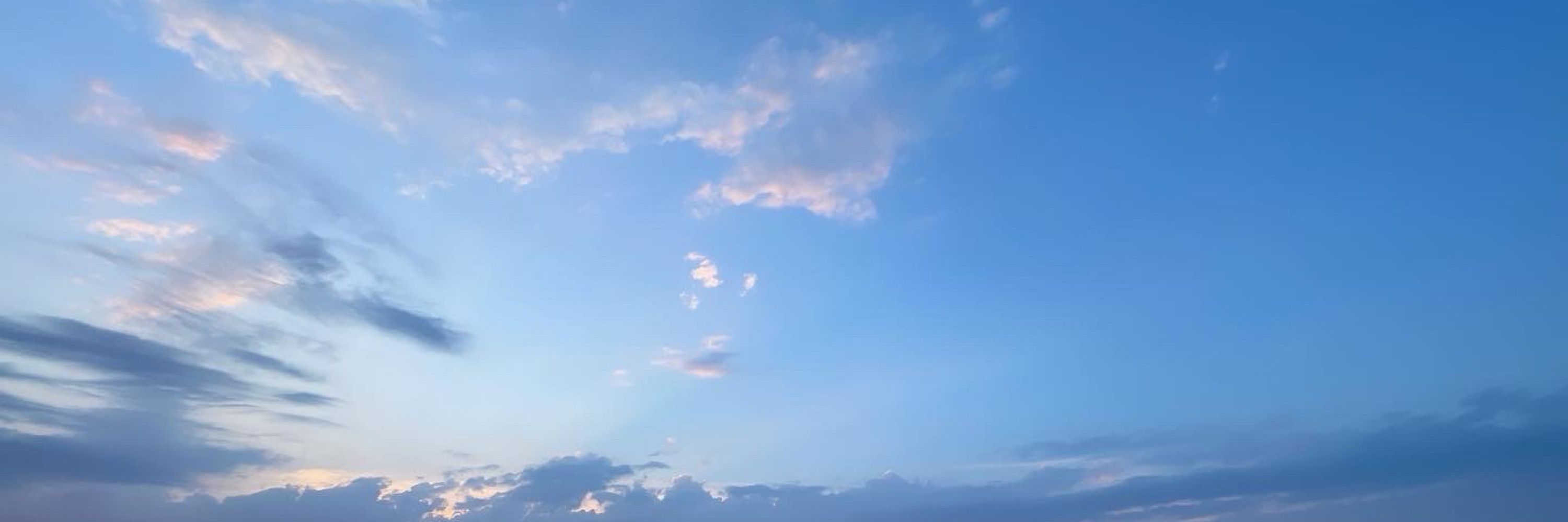 Aoi