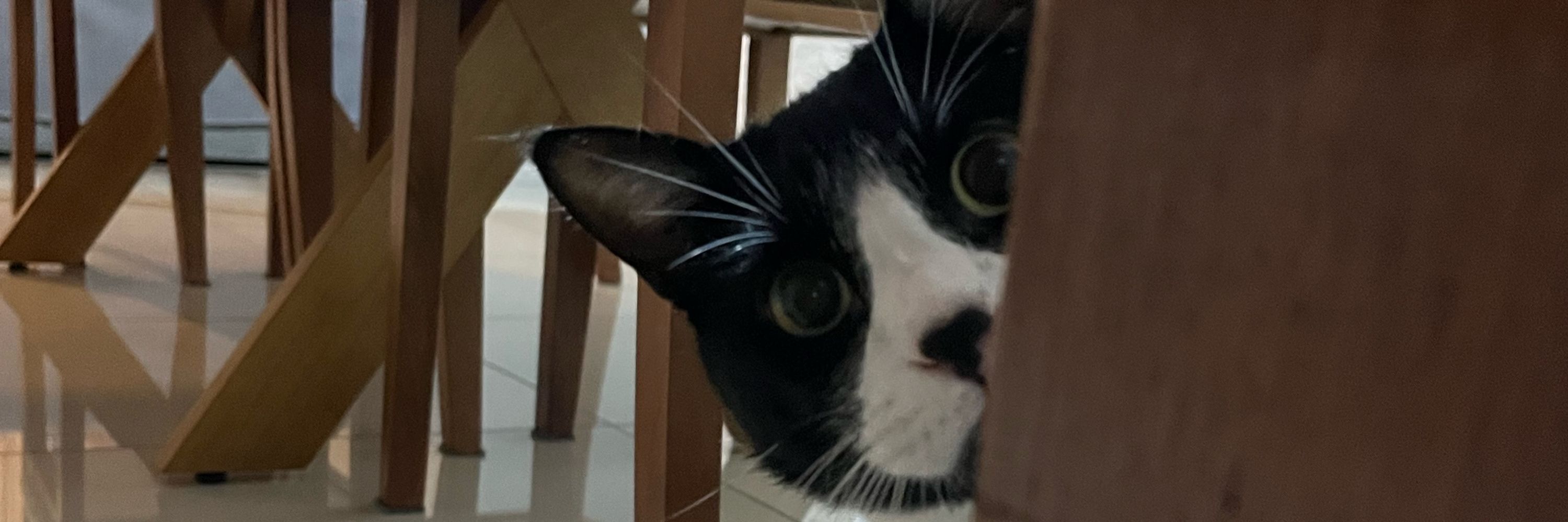 Bia 