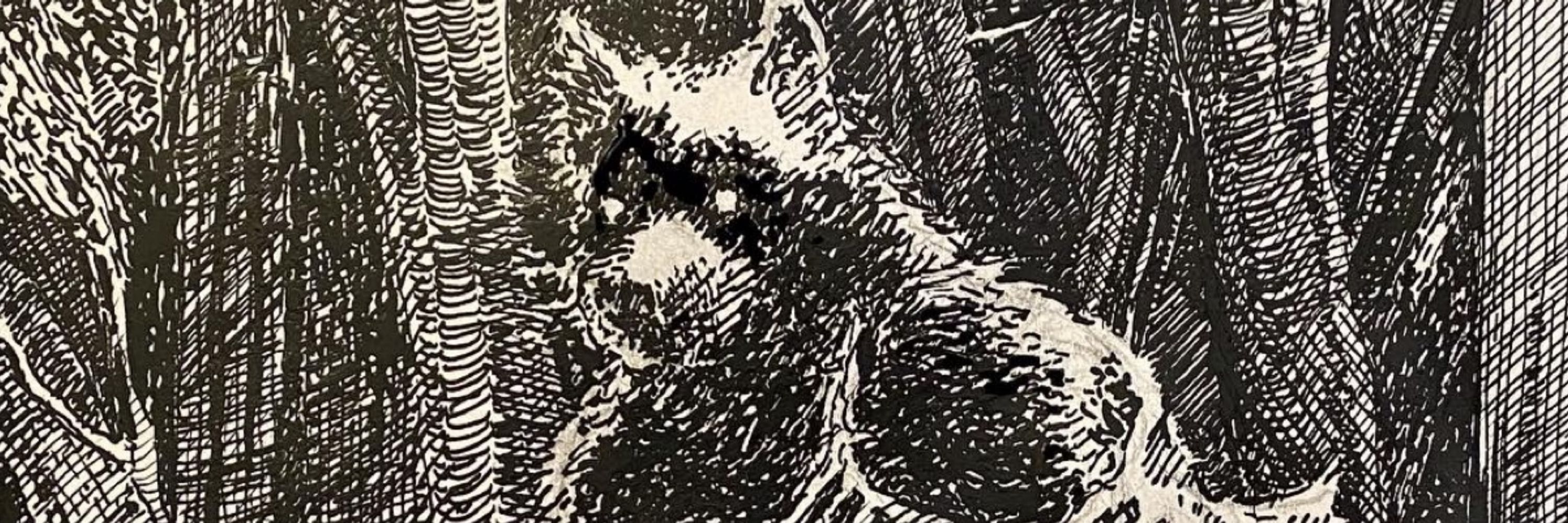 A Creature in Calico