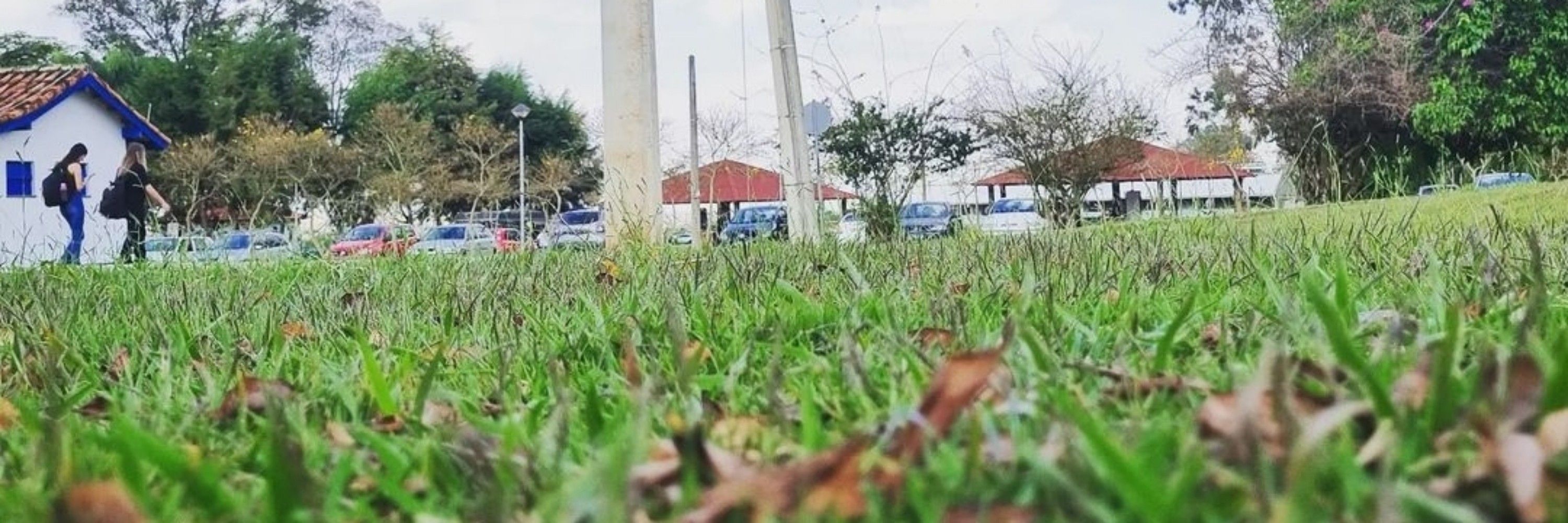Com certeza eu odeio a natureza (Disse o engenheiro ambiental)
