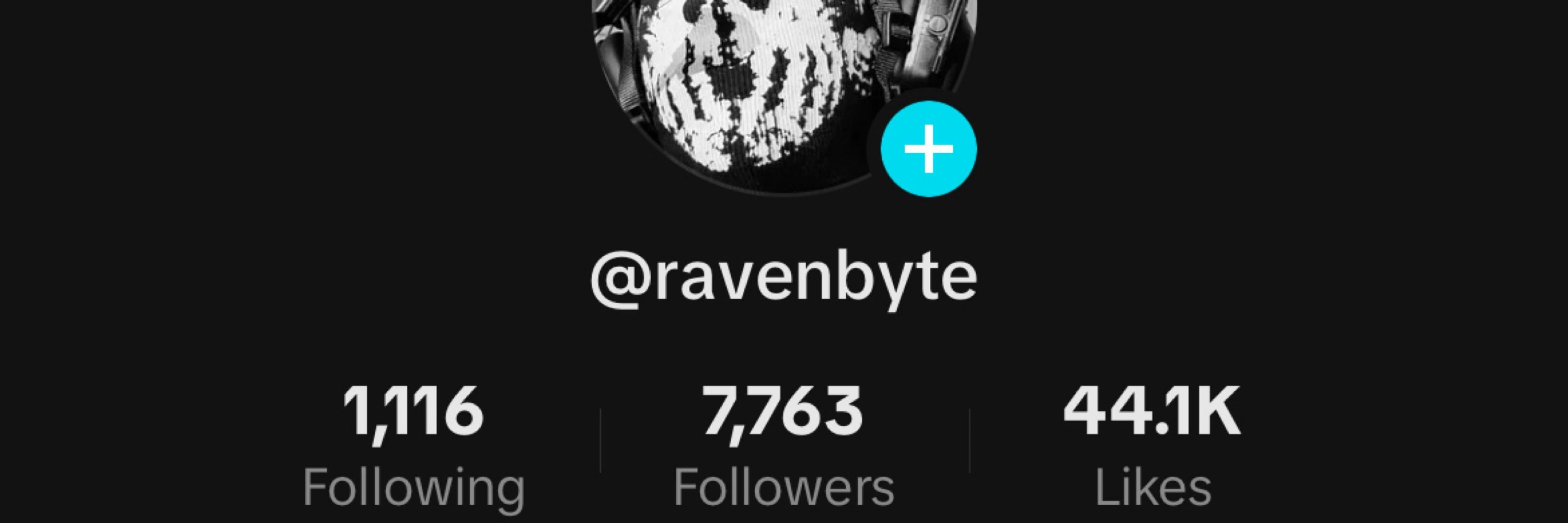 RavenByte