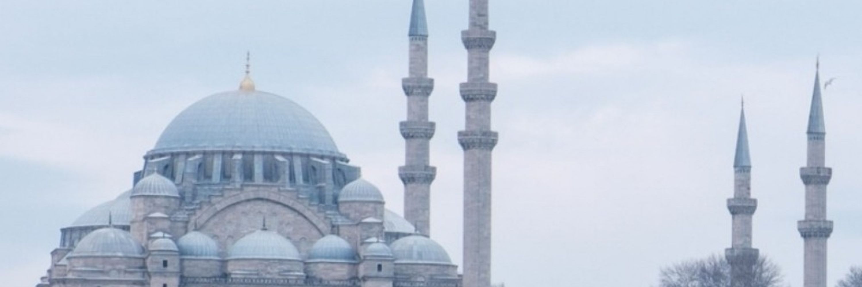ヌ