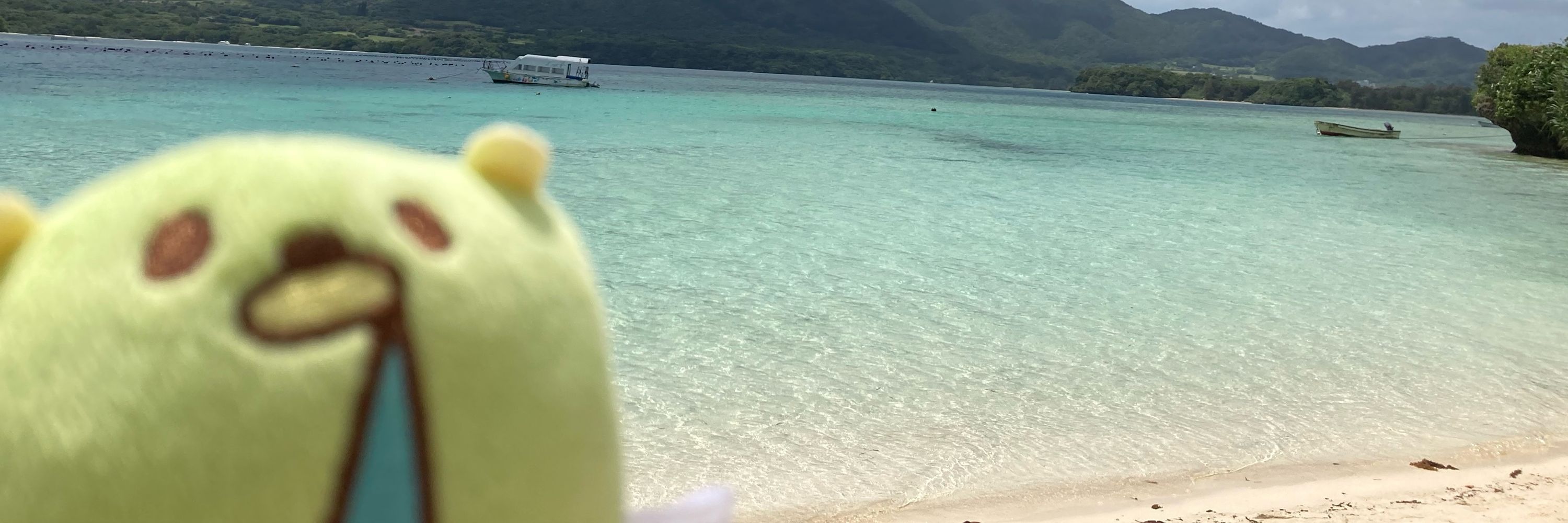 ここあみるく