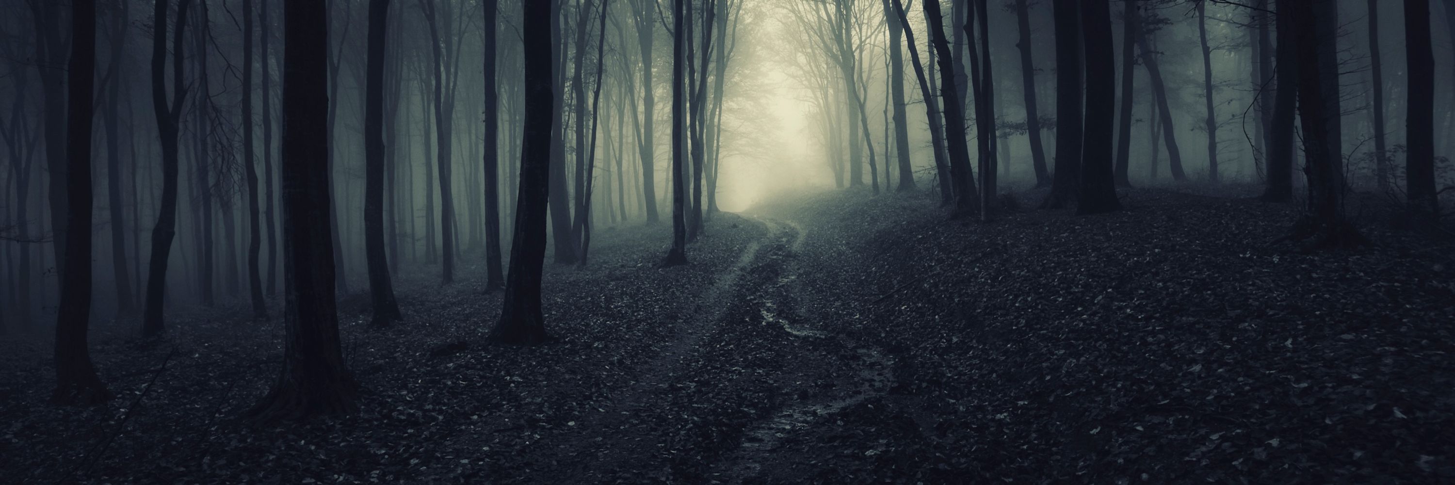 Jeannette Waldie, The Minimalist Crone