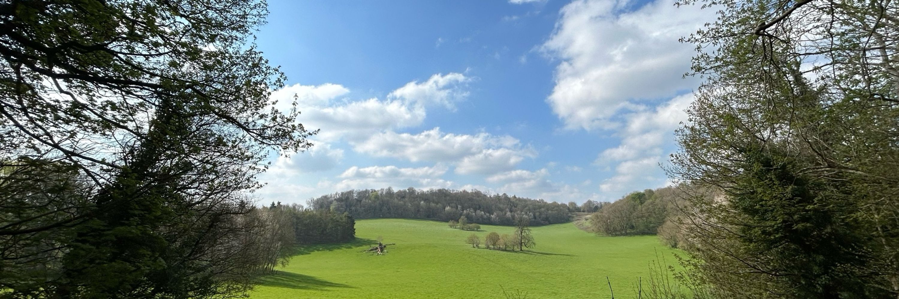 Surrey Educational Psychology Service