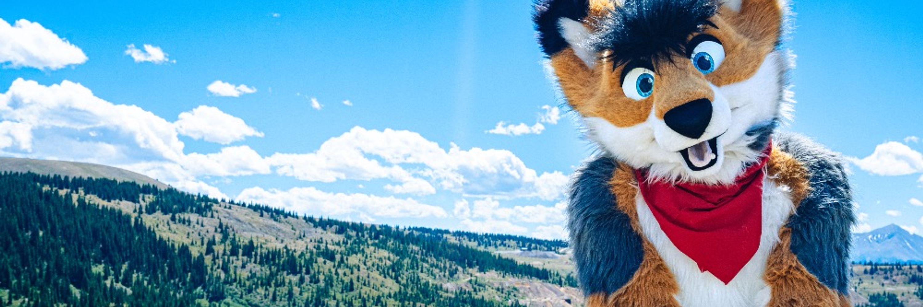 Toby Wolf