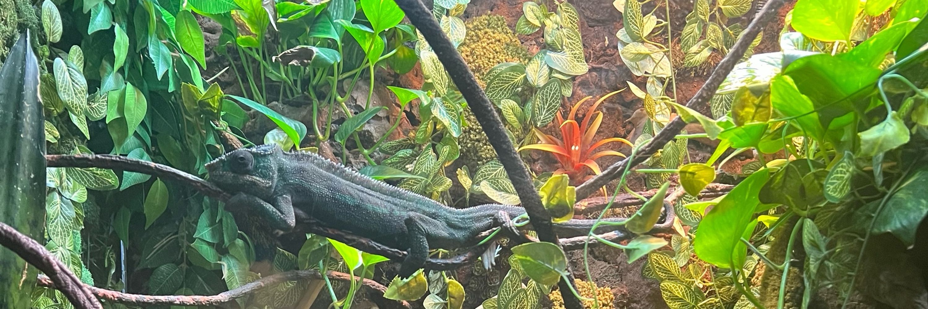 EJ🔆