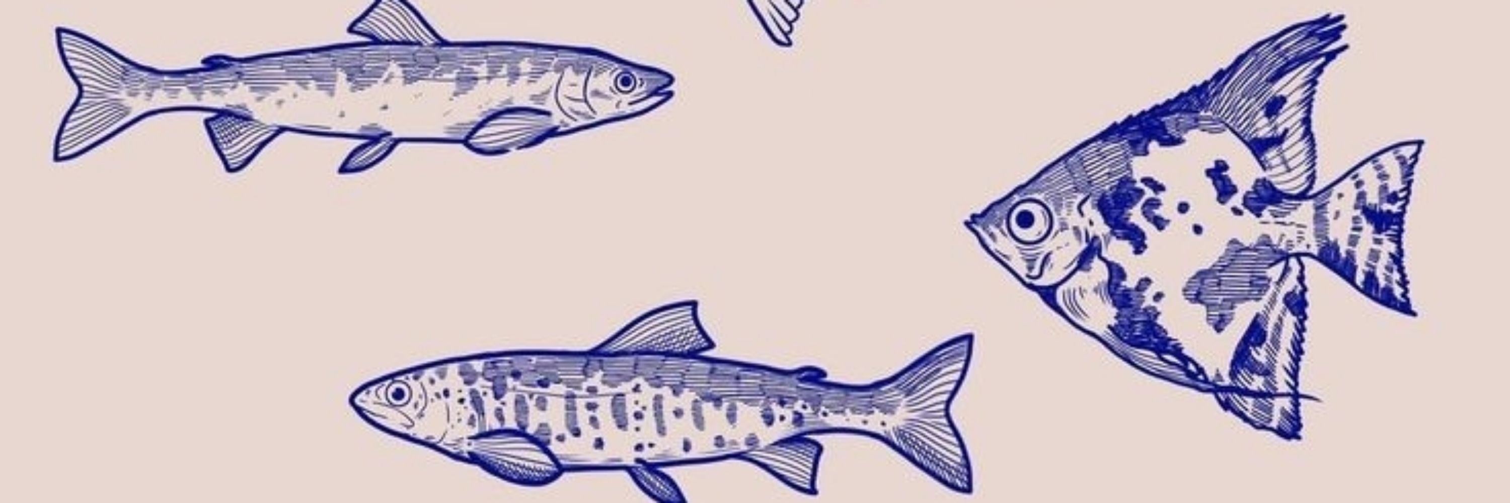 Danusia 𓆛 𓆝 𓆛
