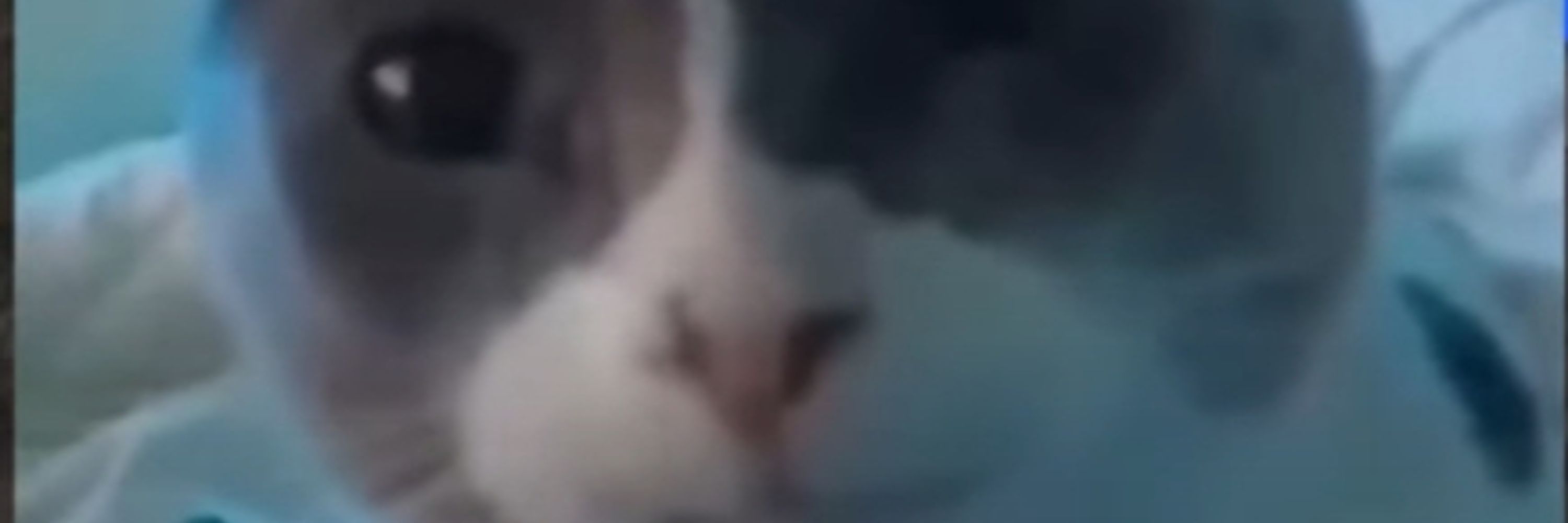IcyS0ul