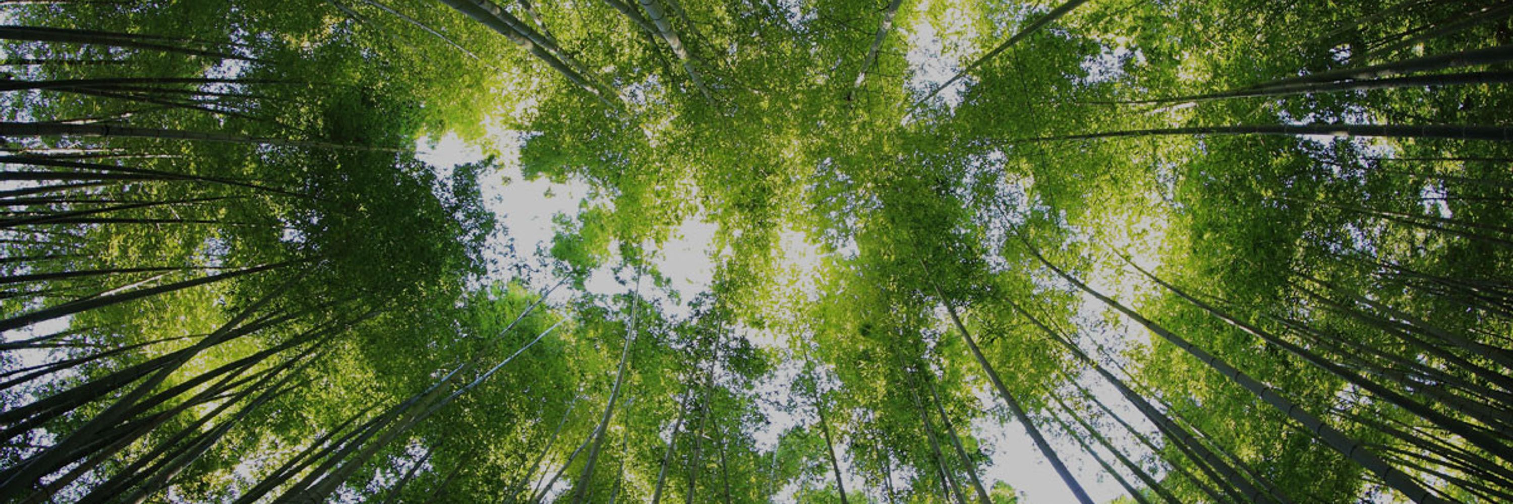 World Biodiversity Forum