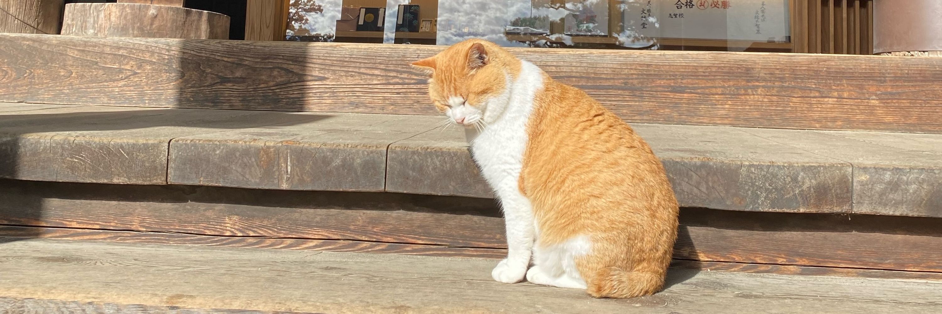 ケロきち