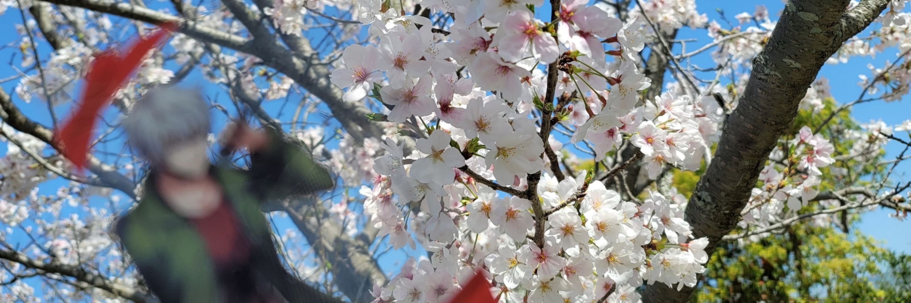 水無月さく