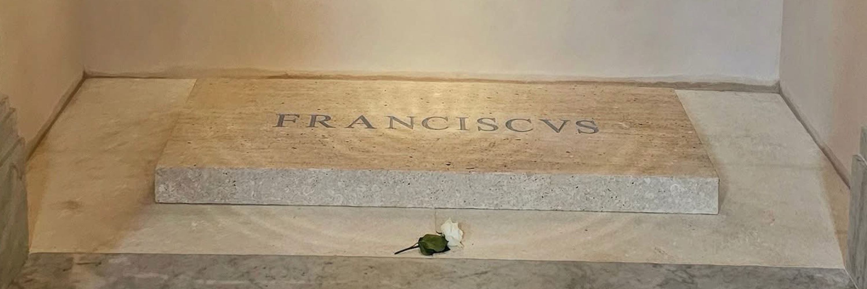Catholic Progressive
