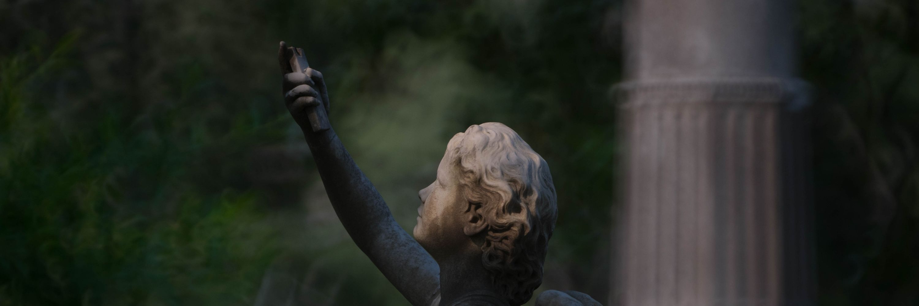 Anonymous eBirder