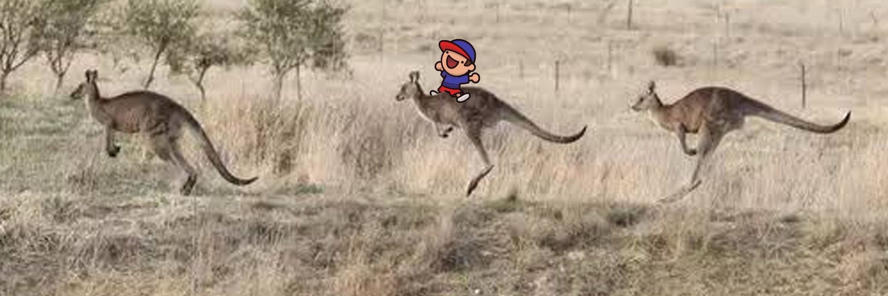 Dar-C