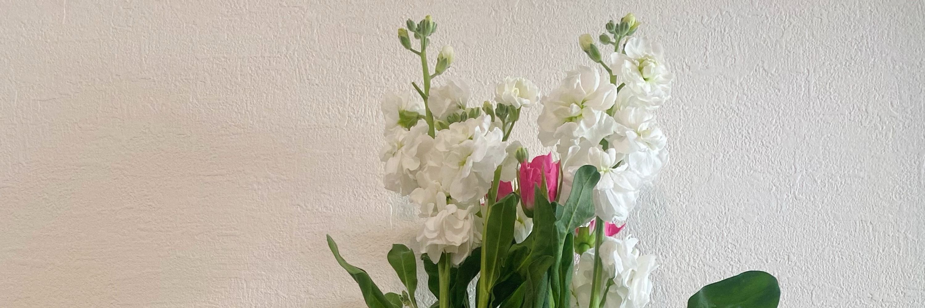 菊子