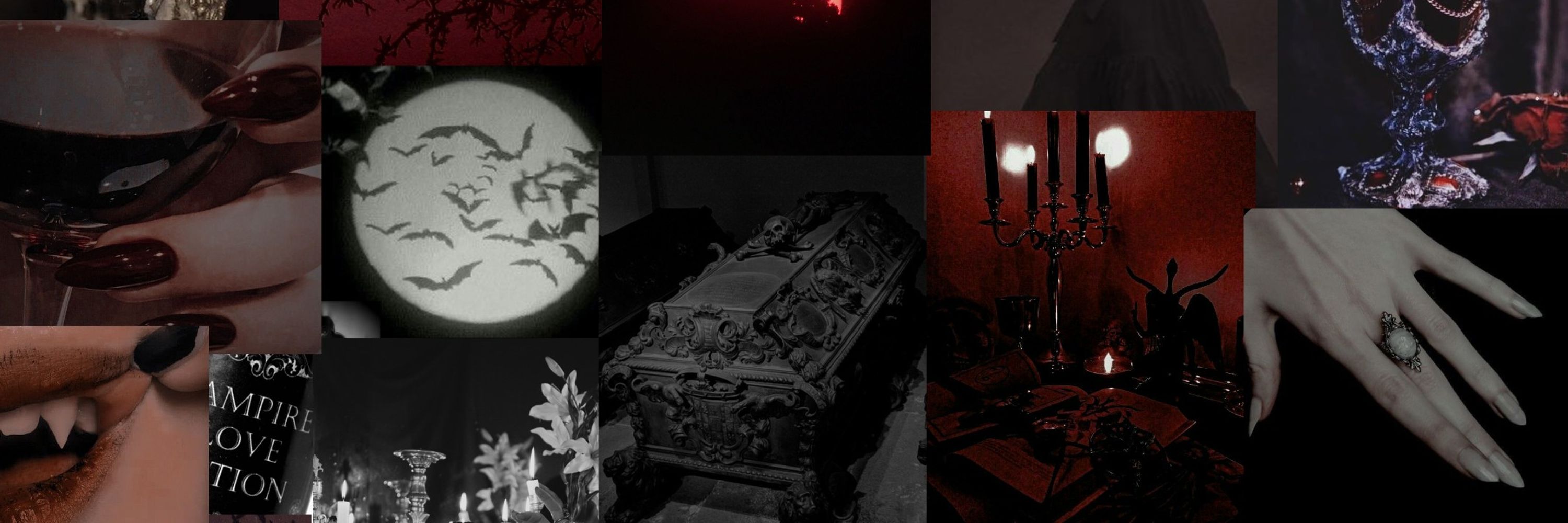 ♡ Nosfera Noctem ♡