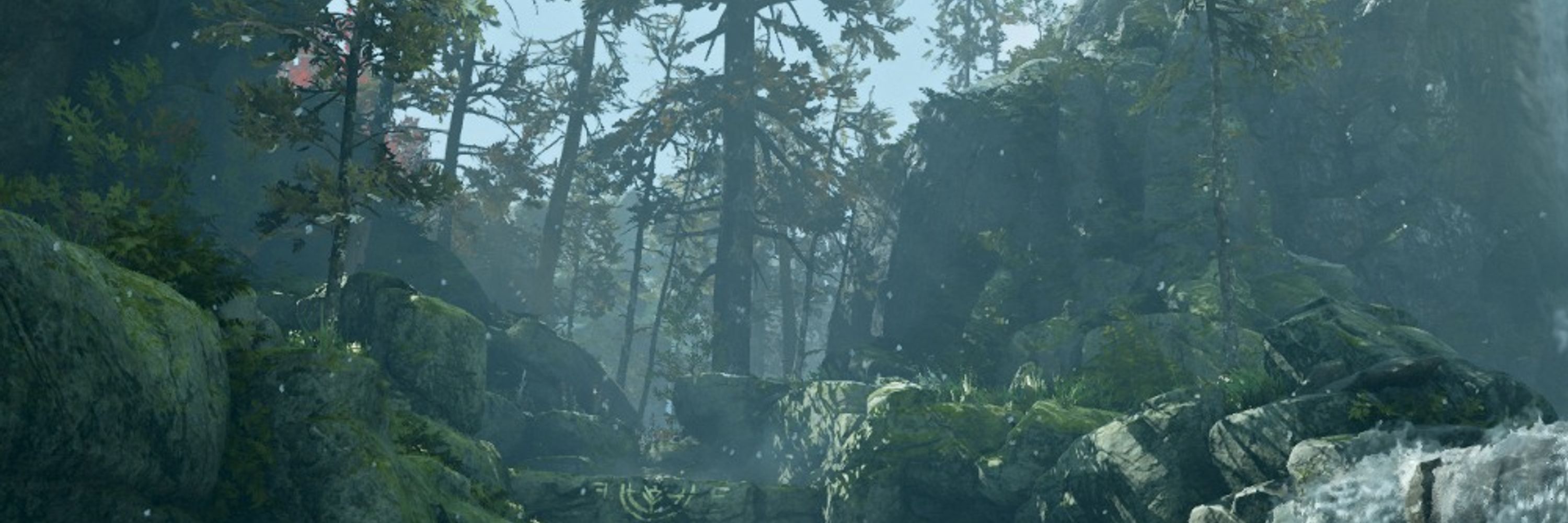 Rainhold