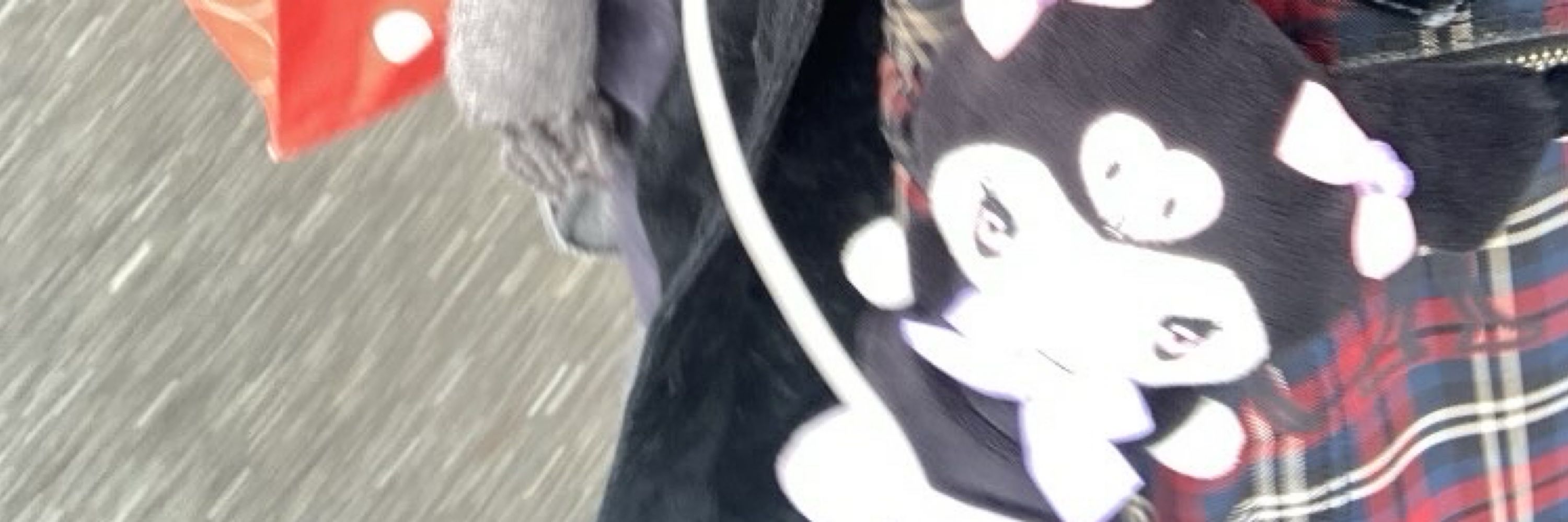 しおりサンチェ