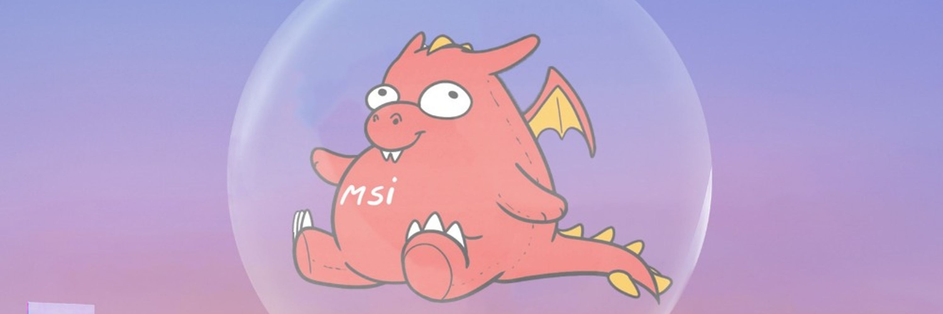 MSI USA