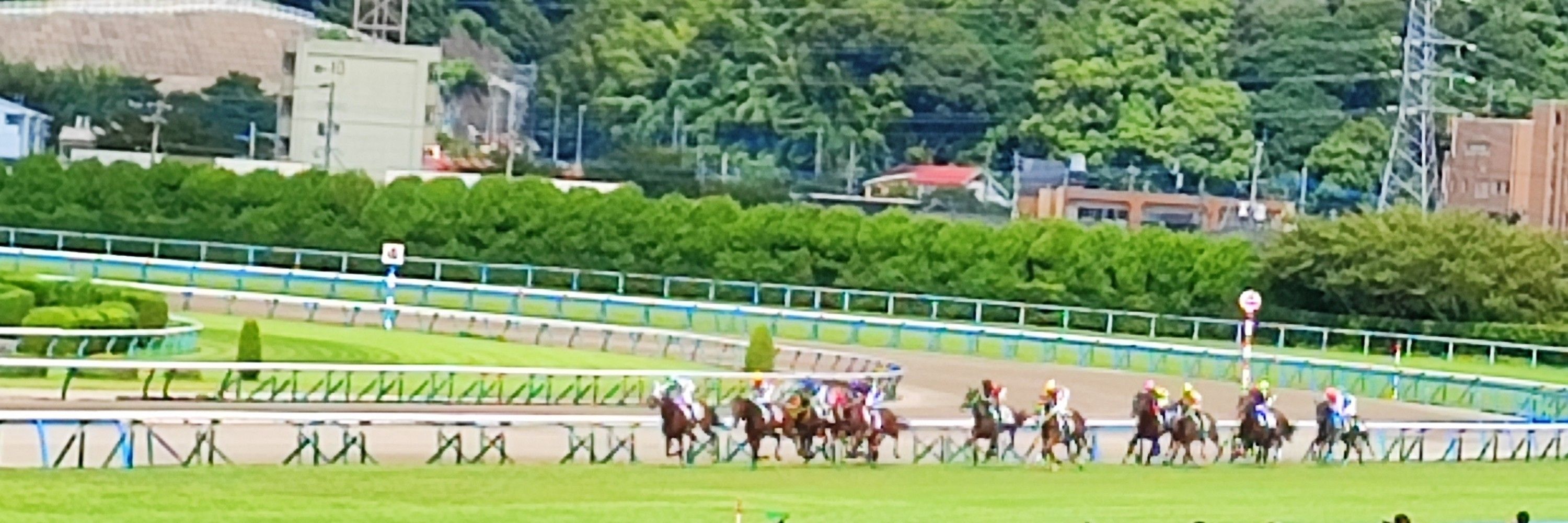 はとまる