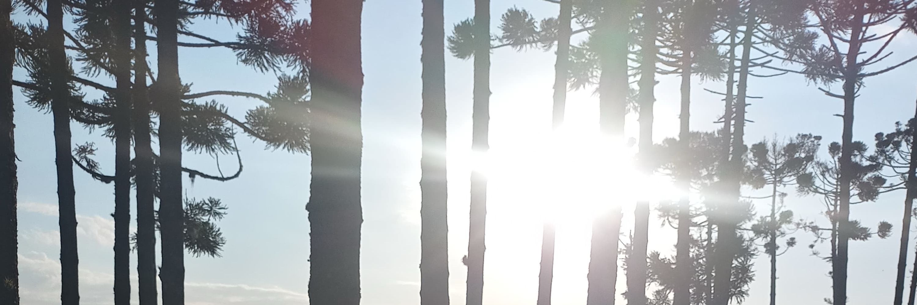 No Incrível mundo da Lua 