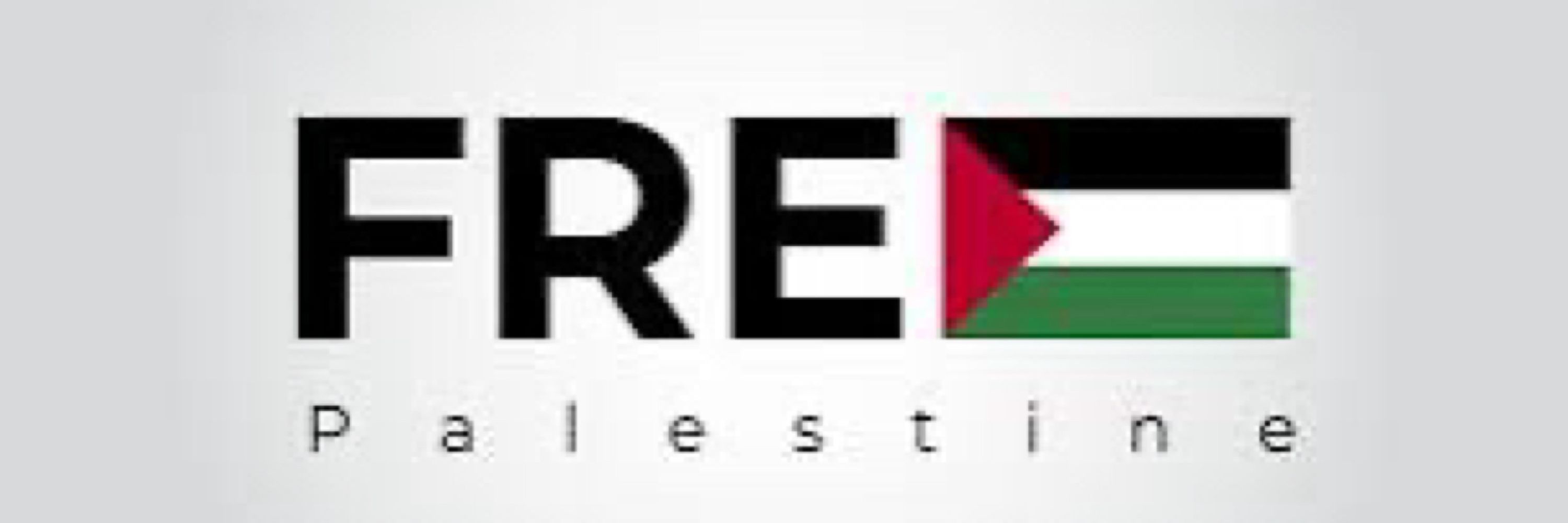 Steve Wilson 🇵🇸