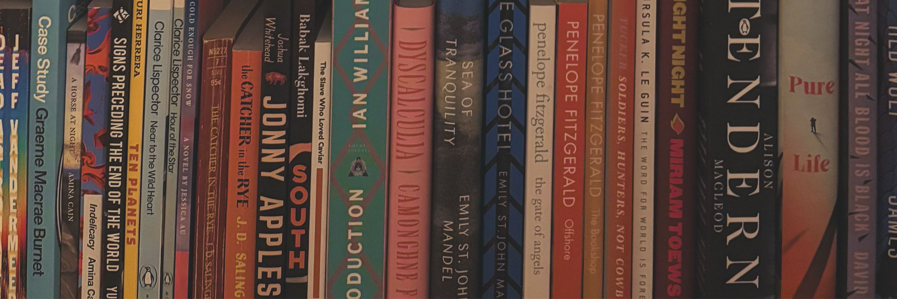 Amy | Read and Bookmarked