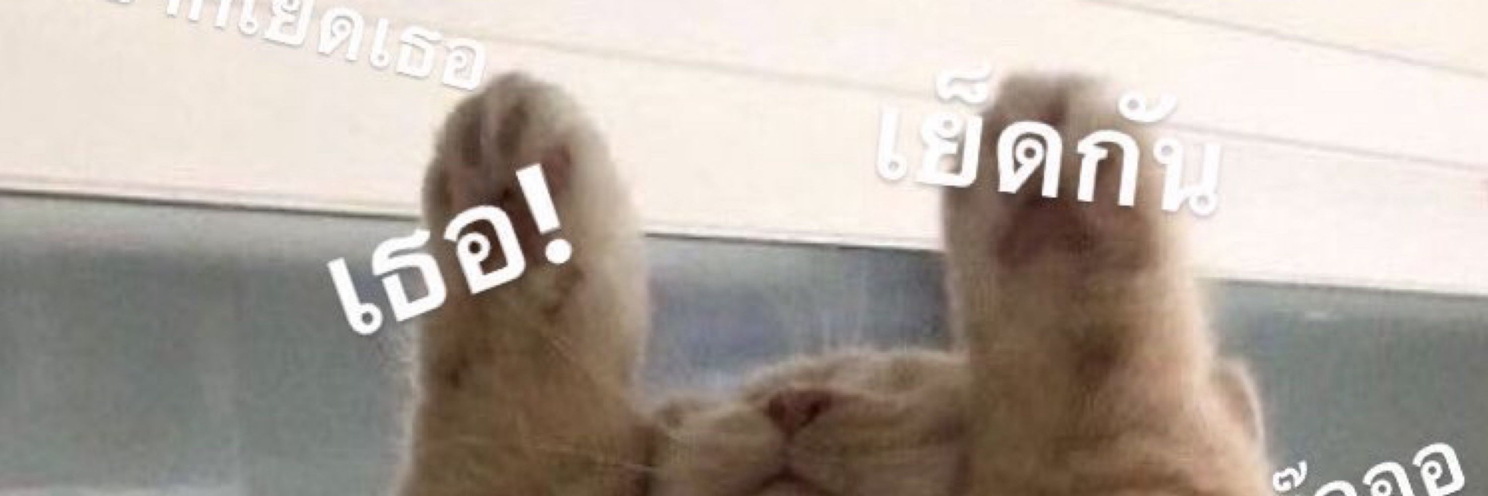น้องโฟมโฟม