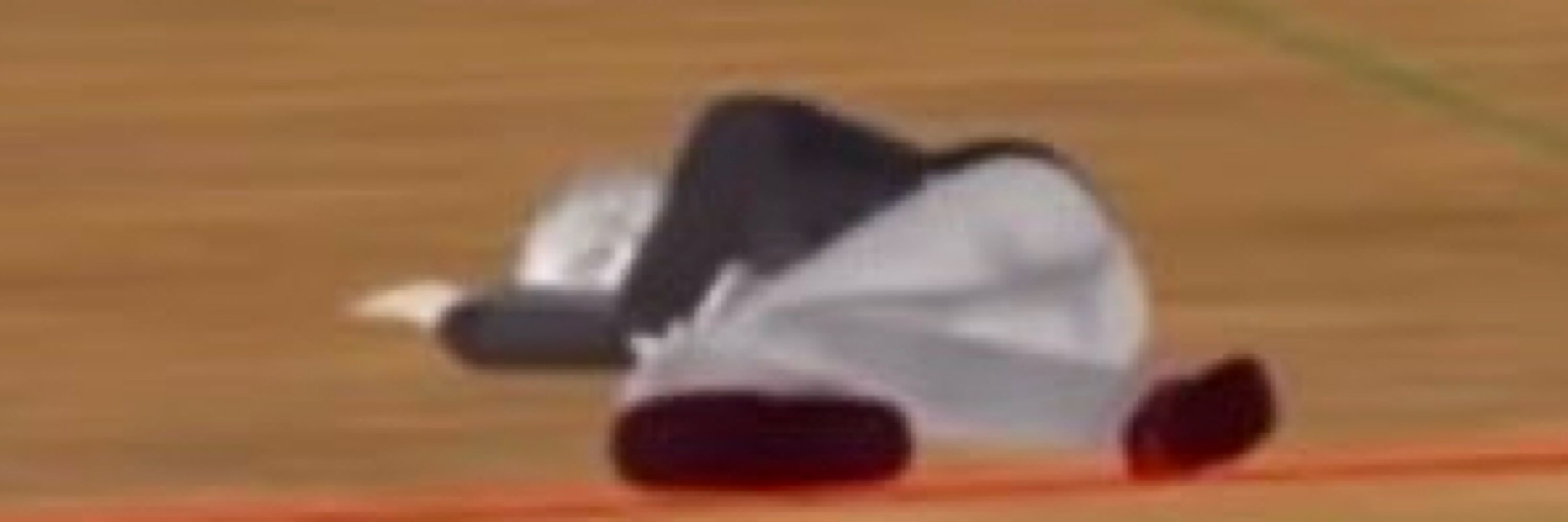 Su