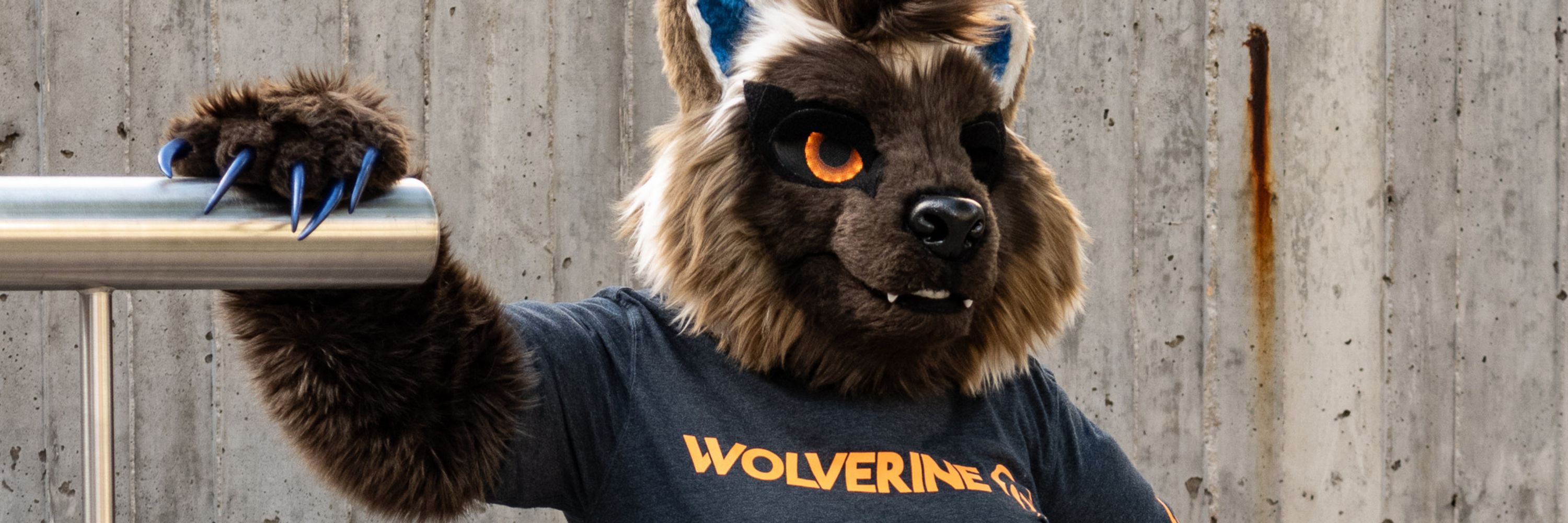 Midnight the Wolverine!!