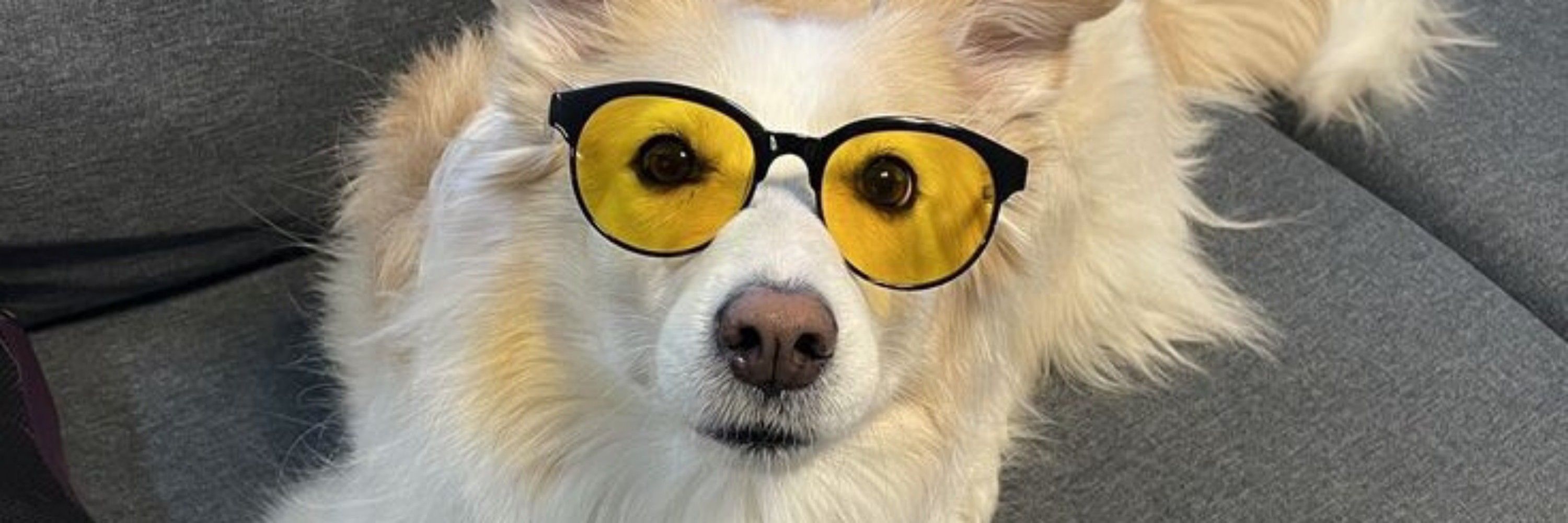 Jake