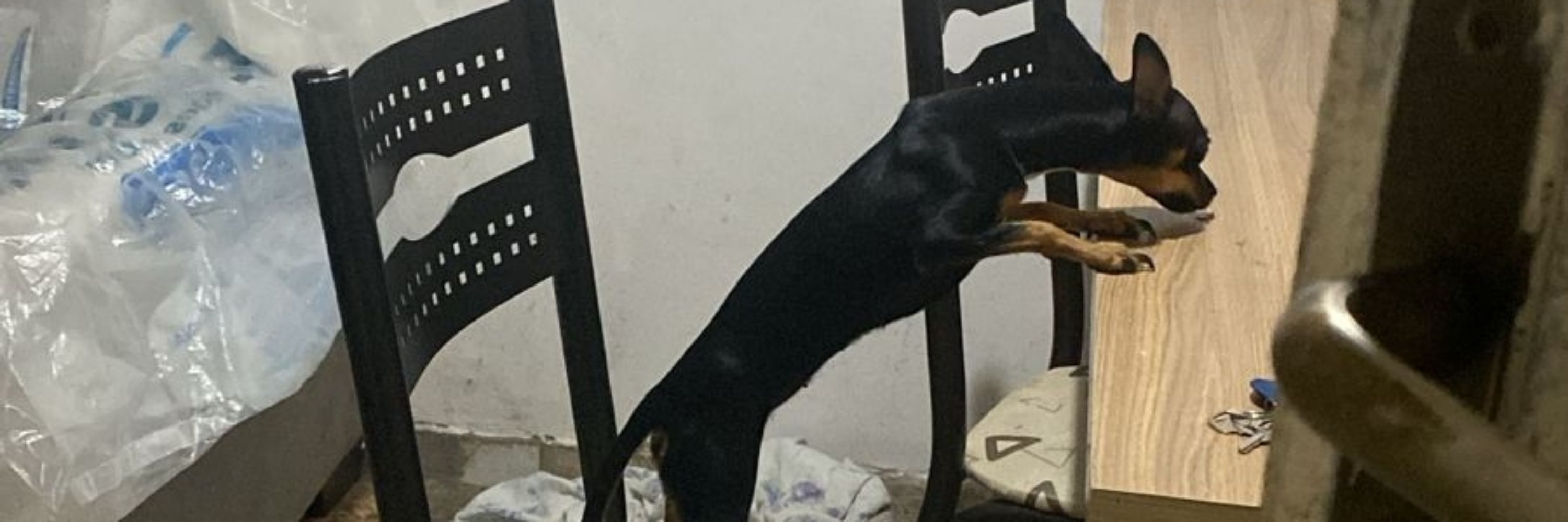 Isa sem Litio